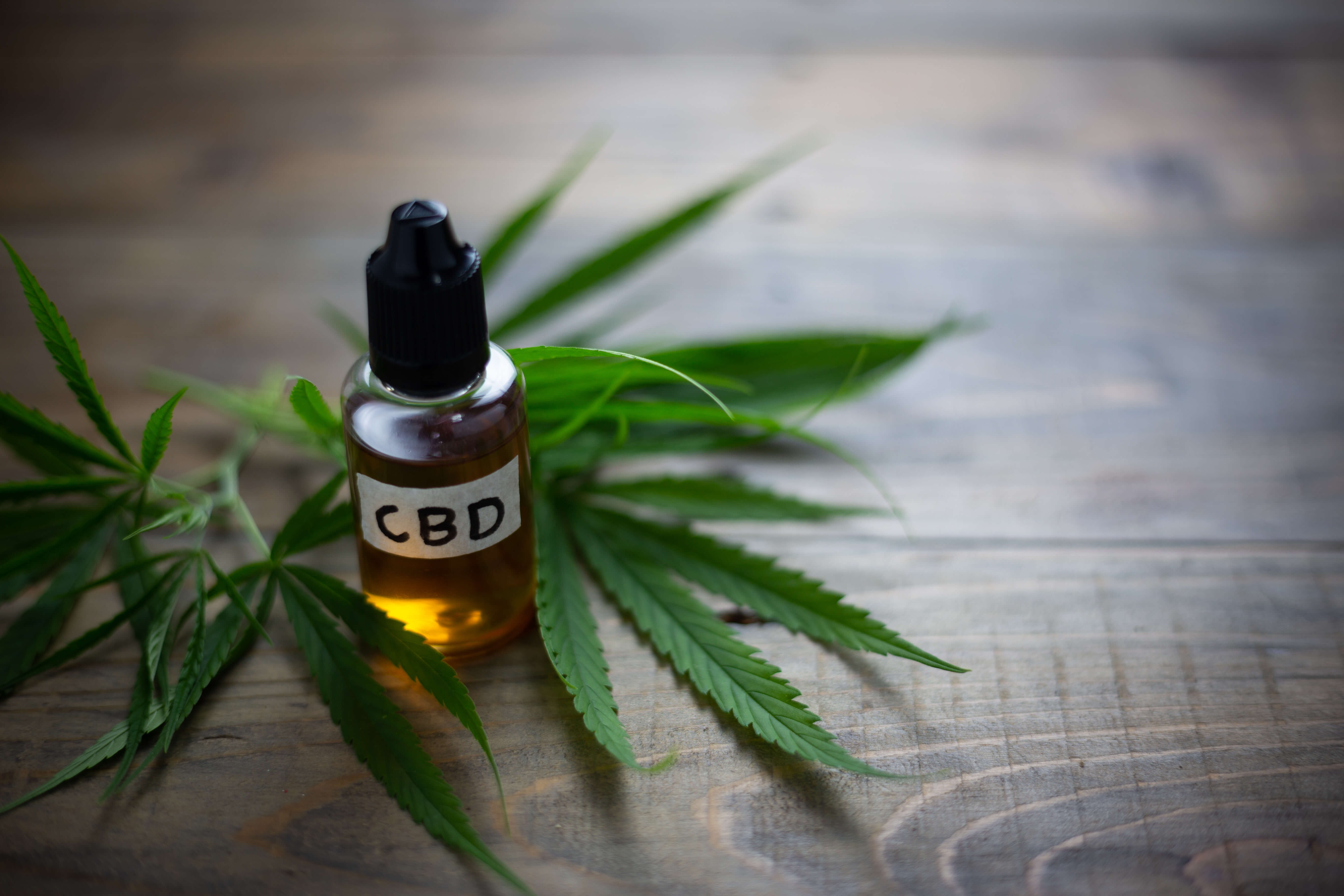 huile-de-cbd